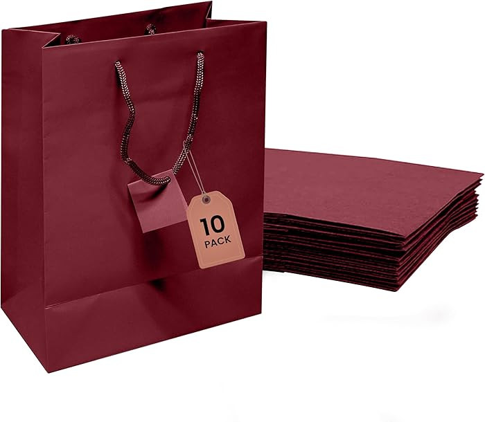 Novel Box Burgundy Gift Bags with Handles 10 Pack 8x4x10 Inches Large Paper Bulk Gift Bags for Bu... | Amazon (US)