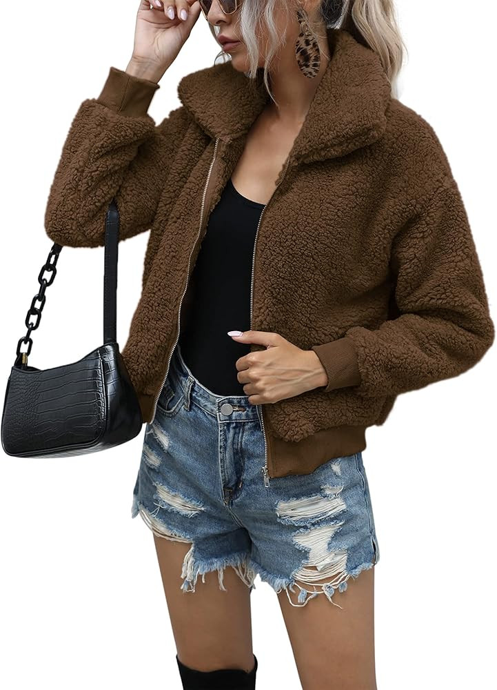 AKEWEI Women's Short Faux Fur Coat Casual Shaggy Jacket with Pockets Warm Winter Zip-Up Fluffy Ou... | Amazon (US)