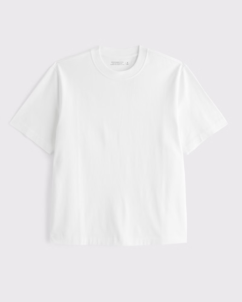 Premium Heavyweight 2.0 Tee | Abercrombie & Fitch (US)