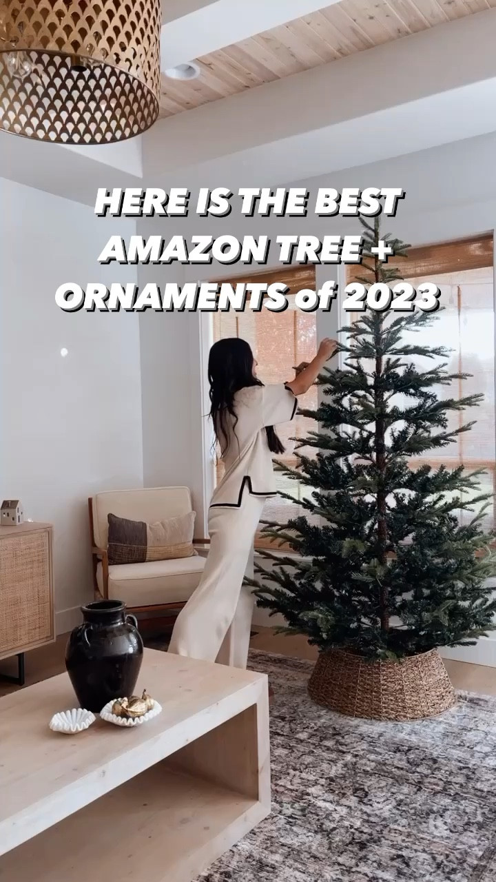 All the best ornaments from Amazon for Christmas! I also love this Amazon Christmas tree! 

#LTKhome #LTKHoliday #LTKVideo