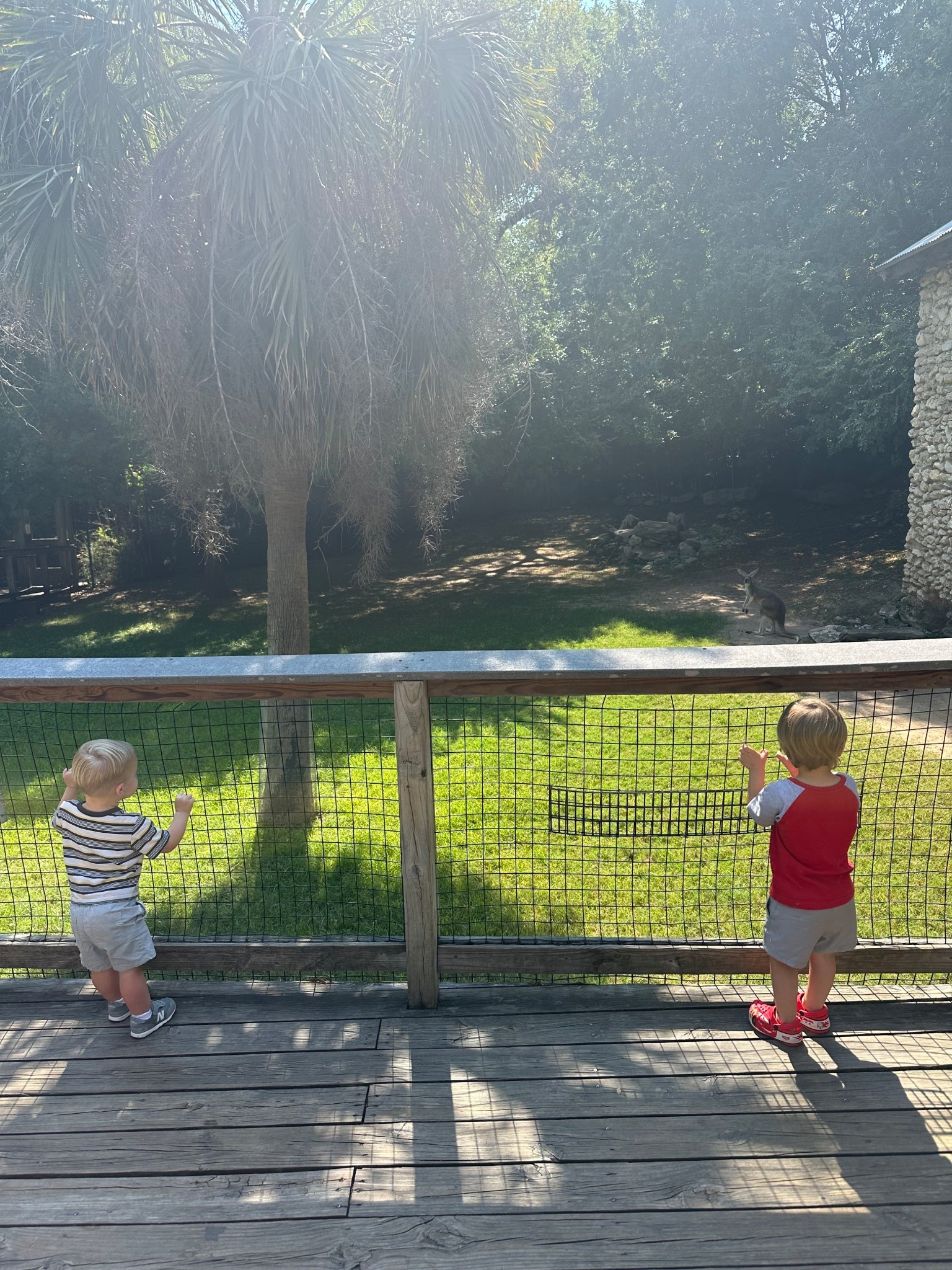 #LTKKids #LTKBaby