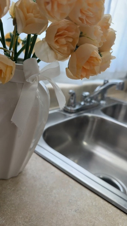 Clean with me! Shop my favorite kitchen cleaning products!🧽 Everything linked below for you!🫶 #kitchen #cleaningfavorites #amazonfinds

#LTKHome #LTKSaleAlert