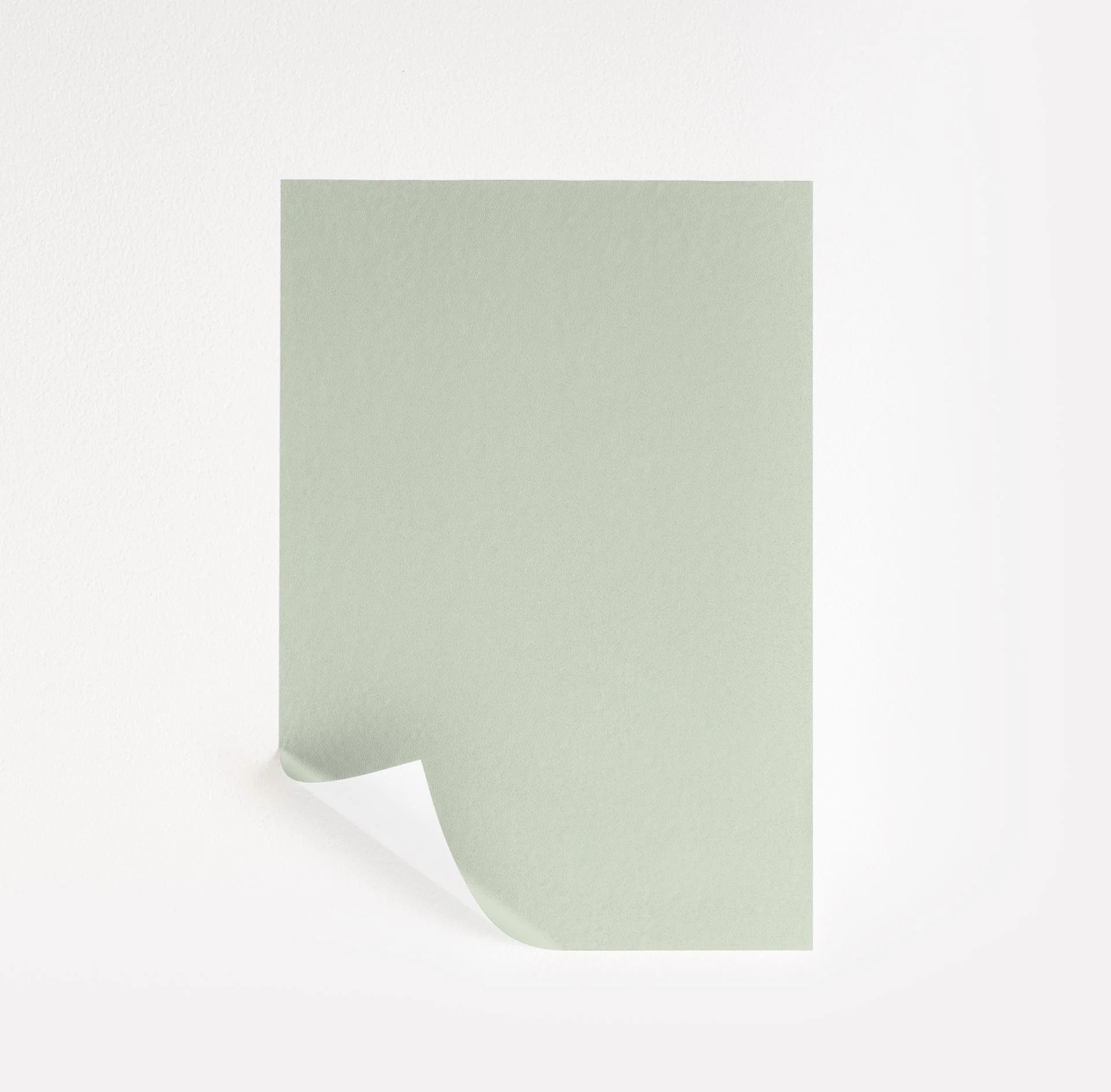 Mint Chocolate Chip  Paint Sample | Samplize
