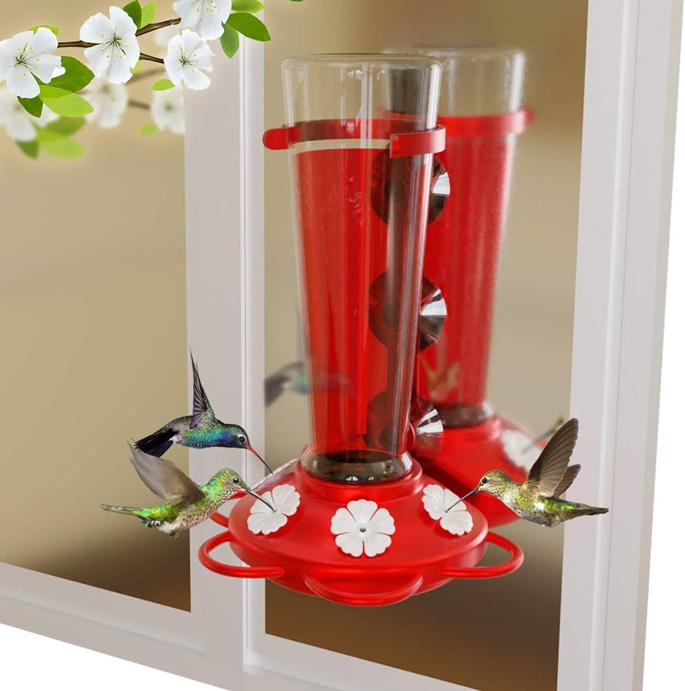 Deluxe Window Hummingbird Feeder with EVERGRIP Suction Cups - 16 oz, Easy Clean & Fill, 3 Colors ... | Amazon (US)