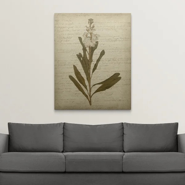 Romantic Pressed Flowers Romantic Pressed Flowers III by Jennifer Goldberger - Graphic Art | Wayfair North America