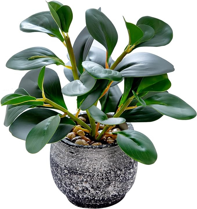 AlphaAcc Artificial Plants Potted Real Looking Small Faux Plant with Rustic Black Cement Planter ... | Amazon (US)