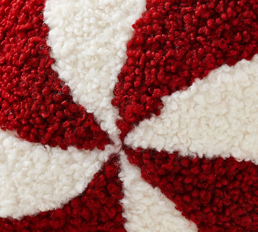 Cozy Teddy Orn-A-Mint Pillow | Pottery Barn (US)