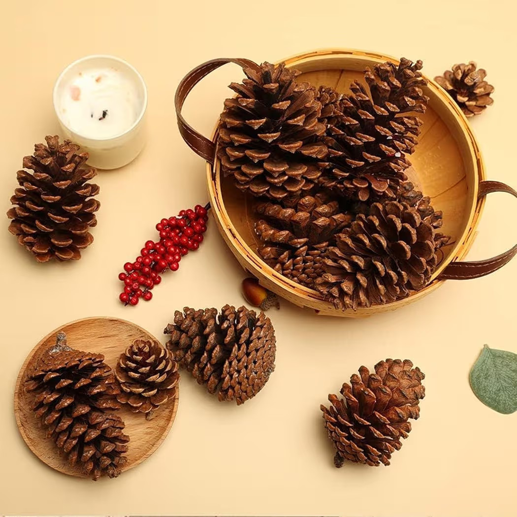 JOHOUSE 3.5-5Inch Natural Pine Cones Crafts, Natural Pinecone Ornaments Vase Fillers for Autumn a... | Amazon (US)