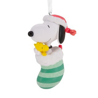 Hallmark Peanuts Snoopy & Woodstock in Stocking Christmas Ornament | CVS