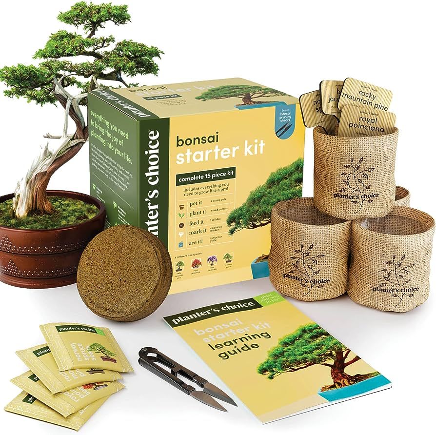Bonsai Starter Kit - Gardening Gift for Women & Men - Bonsai Tree Growing Garden Crafts Hobby Kit... | Amazon (US)