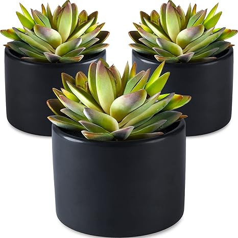 SEEKO Artificial Succulents 3 Pack Faux Potted Plant Decor - Realistic Faux Succulents Perfect Sm... | Amazon (US)