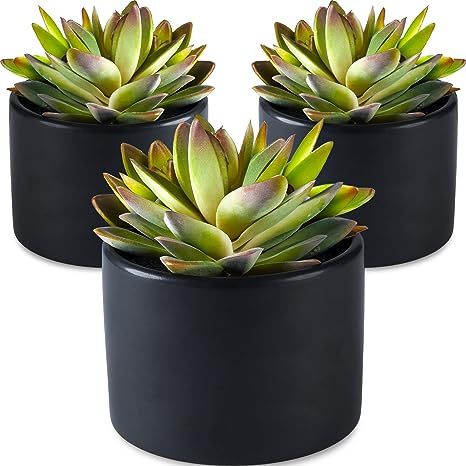 SEEKO Fake Plants Artificial Succulents in Pots - 3 Pack Faux Potted Plant Décor, Small Fake Des... | Amazon (US)