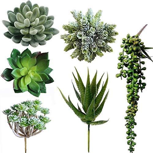 Winlyn 6 Pcs Unpotted Fake Succulents Assorted Faux Succulent in Different Green Artificial Hangi... | Amazon (US)