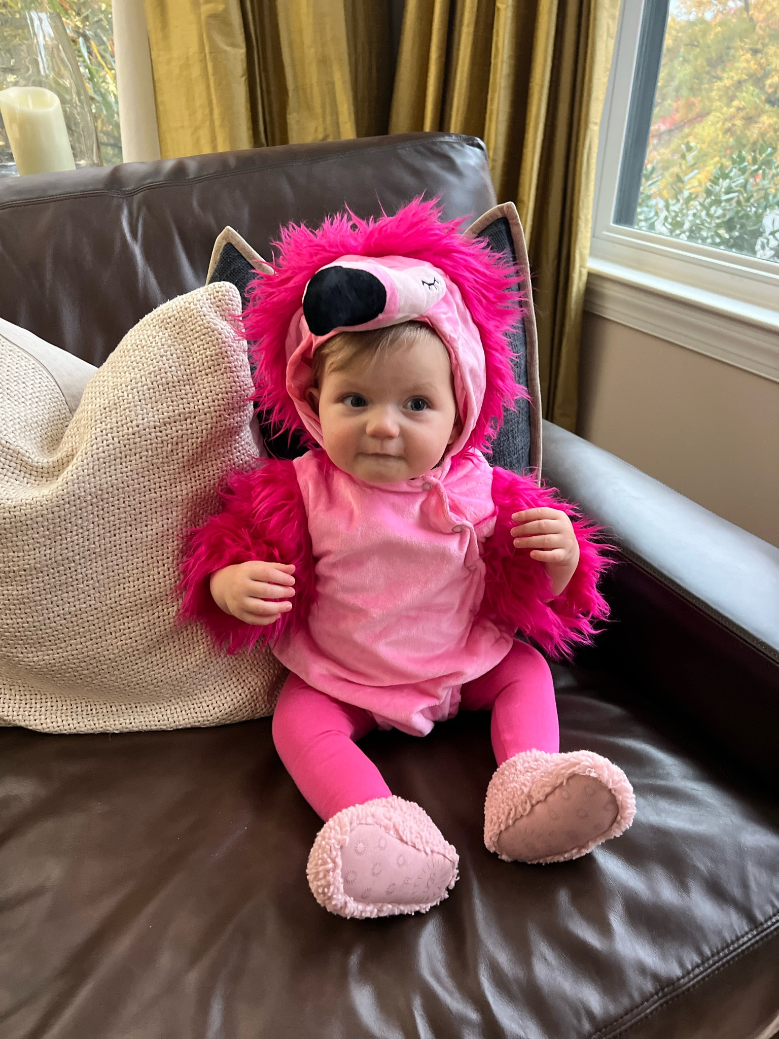 Baby flamingo Halloween costume 

Sale / pottery barn / baby costumes / happy Halloween/ fall / dress upp

#LTKHalloween #LTKFindsUnder100 #LTKBaby