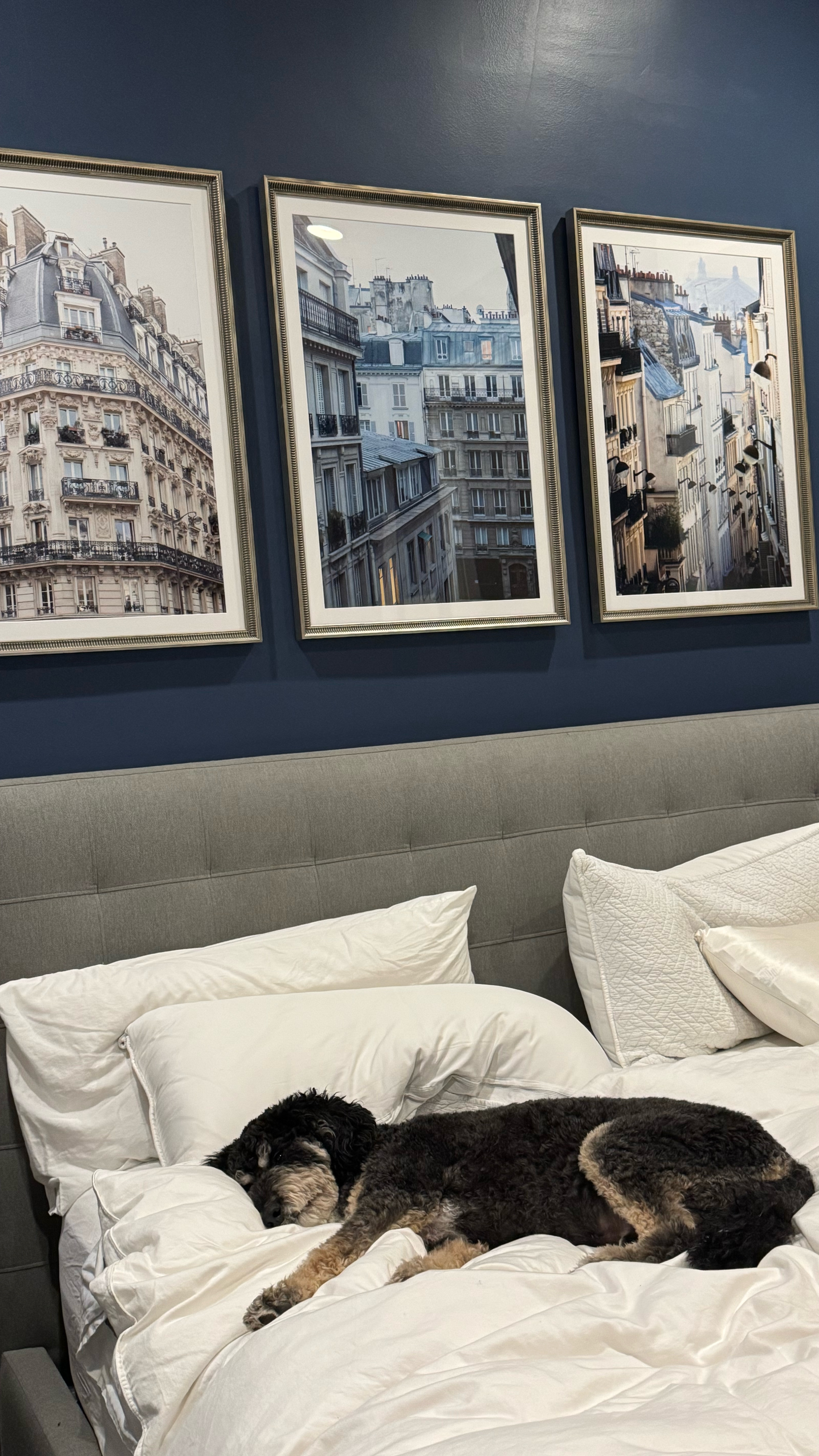 When your dog 🐶 loves clean sheet day as much as you do. We love ❤️ our Boll and Branch bed. #bollandbranch

#LTKHome