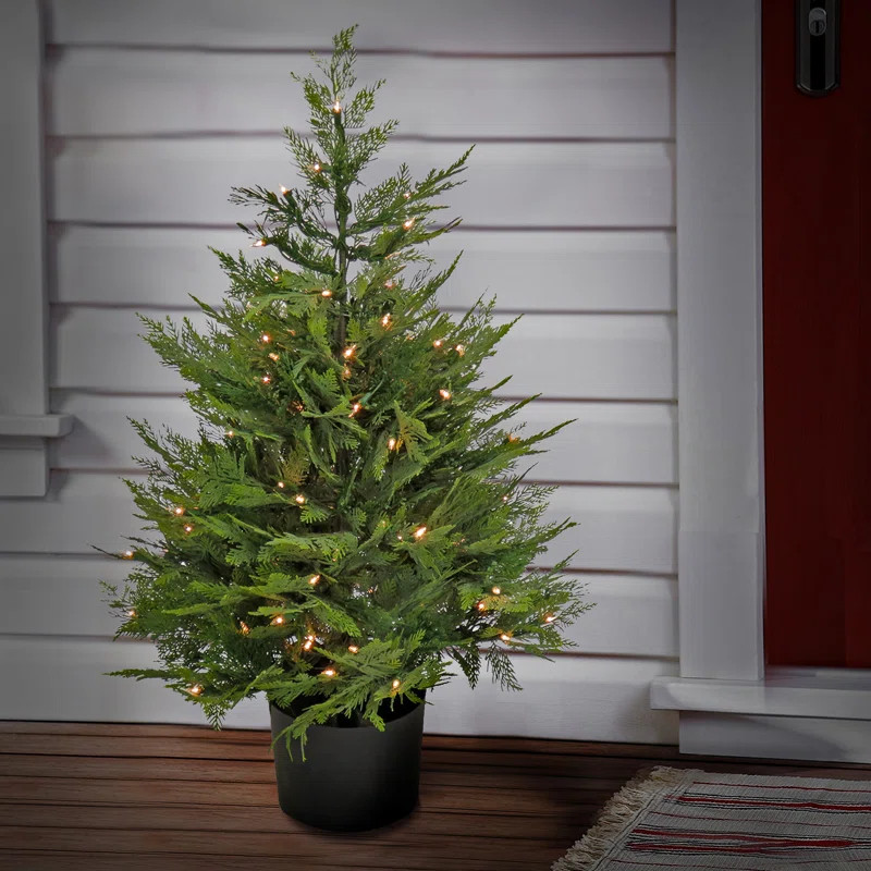 3 ft. Pre-Lit Cypress Tree in Nursery Pot | Wayfair North America
