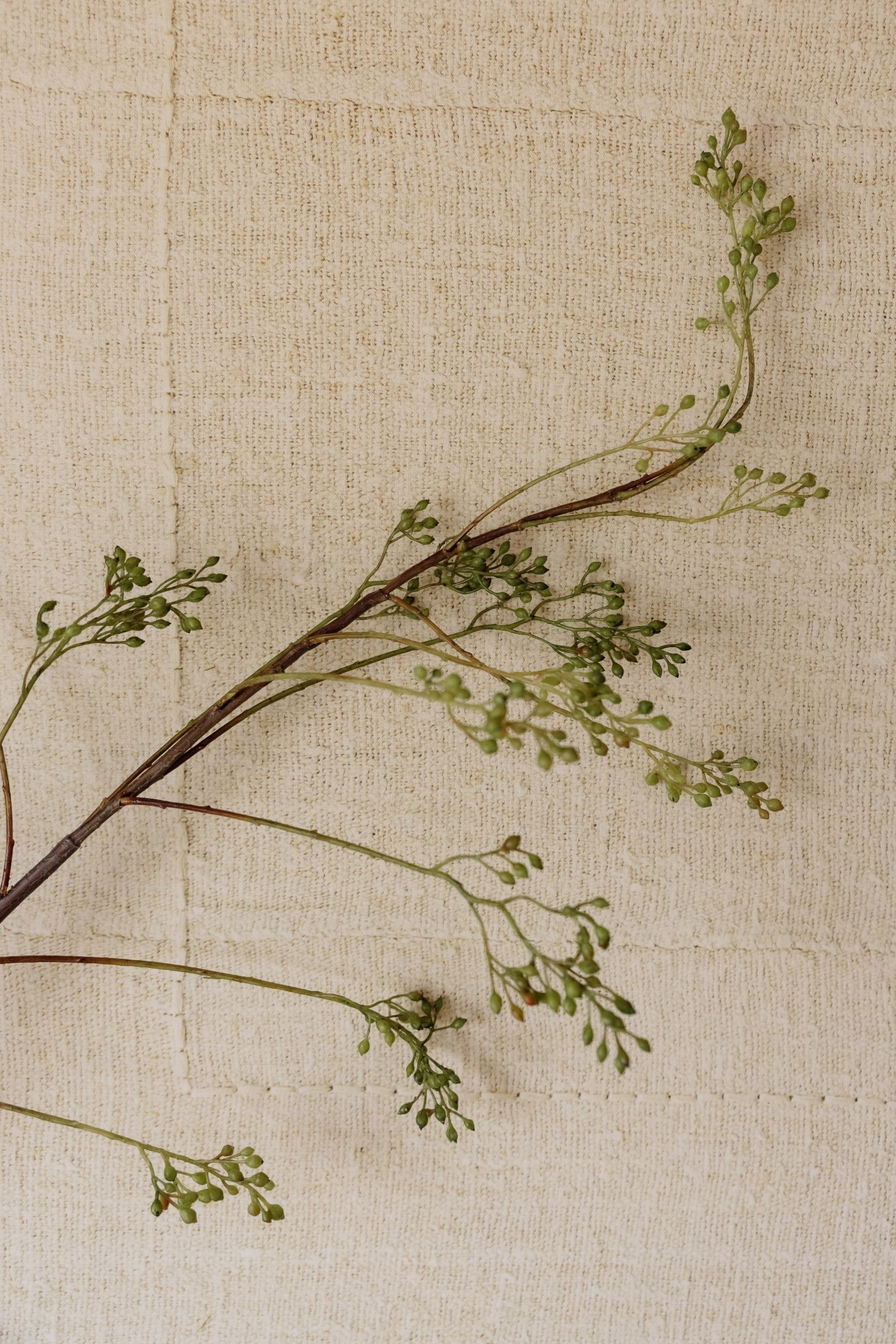 Shop everything in my office! // Wall Color: First Star by Sherwin Williams // Flooring: Coretec LVP in Springfield Oak // Cabinets: Custom by Countryside Cabinets in Oyster

 

#LTKHome #LTKWorkwear