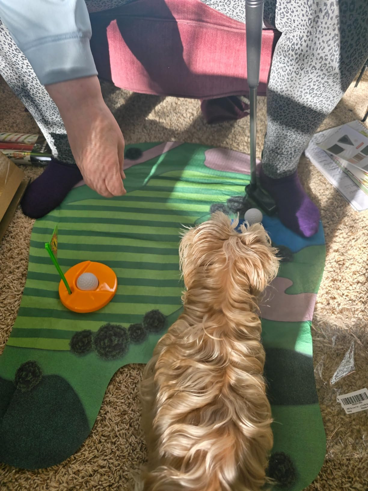 Toilet Golf Game - Funny White Elephant Gifts Exchange for Adults - Christmas Secret Santa Gifts,... | Amazon (US)