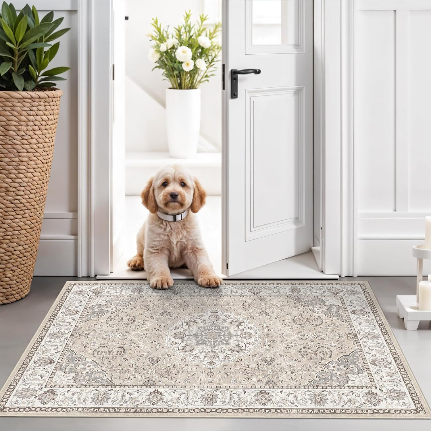 Washable 2x3 Entryway Area Rug - Neutral Kitchen Rug Runner Vintage Soft Floor Mat Non Slip Indoor Farmhouse Carpet for Bathroom Living Room Bedroom (2 X 3, Beige) | Amazon (US)
