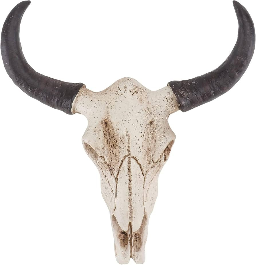 Cow Skull Decor Longhorn Skull Figurines Bull Skull Wall Decor Realistic Cow Skull Statue Resin A... | Amazon (US)