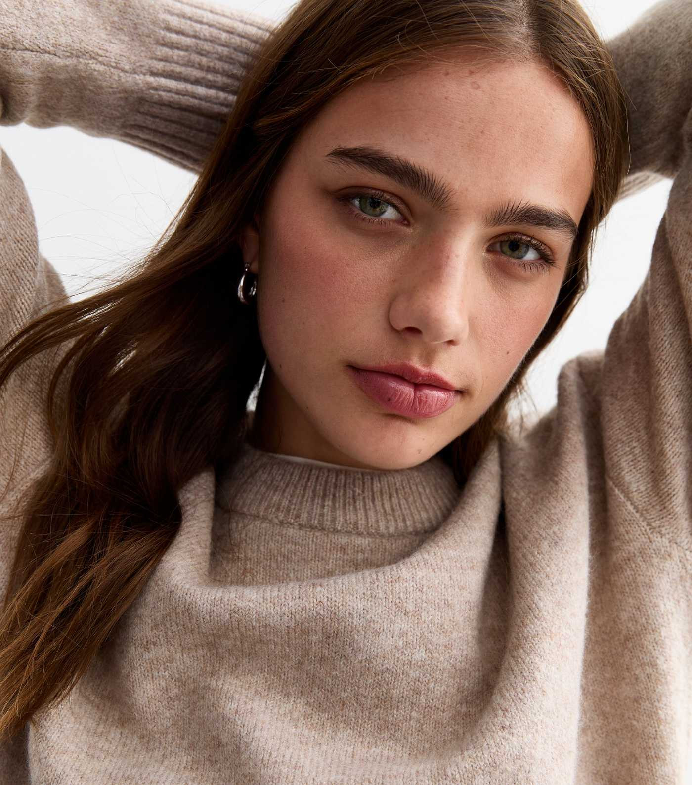 Brown Soft Knit Crew Neck Jumper  | New Look | New Look (UK)