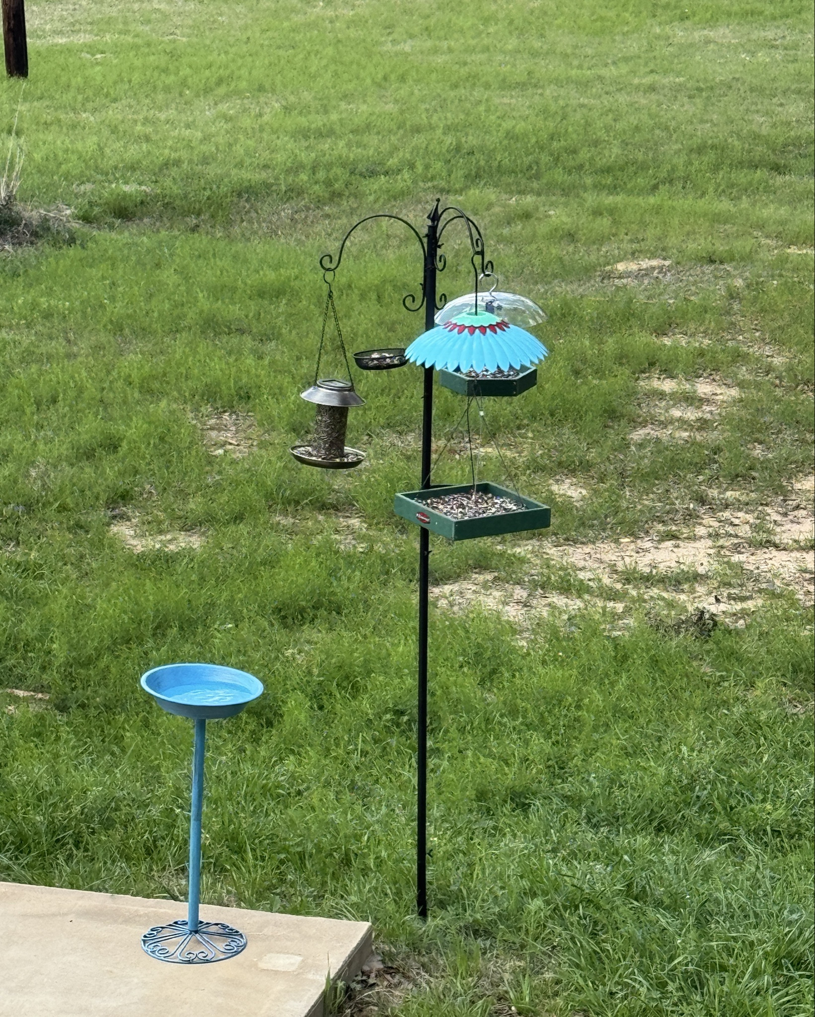 bird garden additions, one day my yard will be full of these stands 😂👌🏻