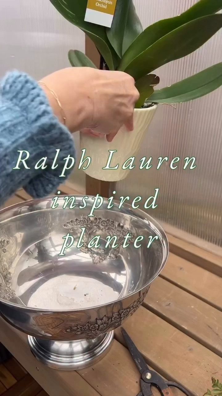 RL inspired planter

#LTKOver40 #LTKSeasonal #LTKHome