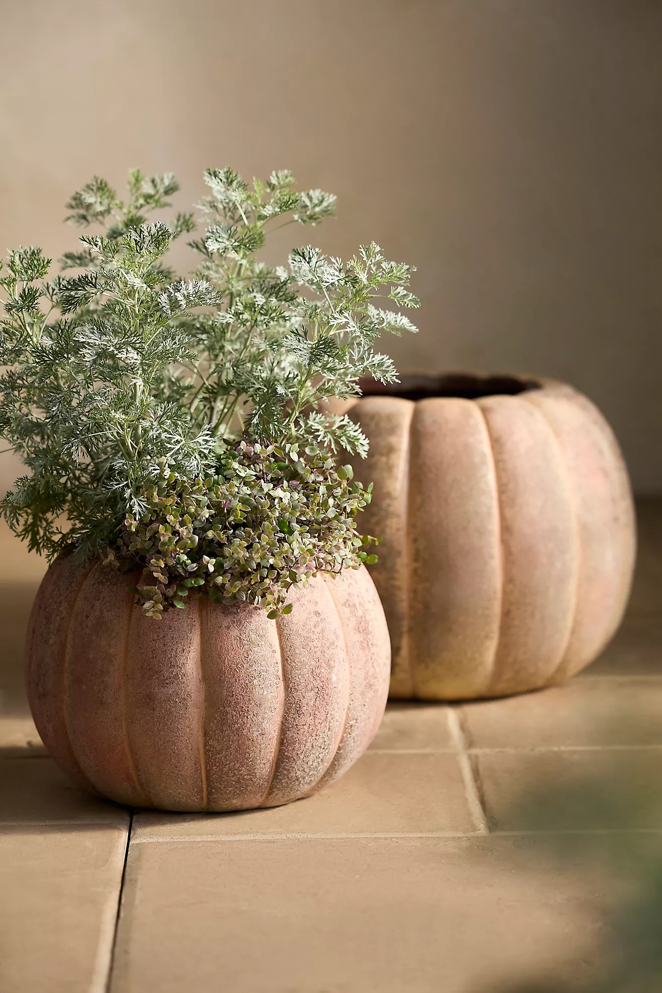 Canyon Orange Stoneware Pumpkin Planter | Terrain