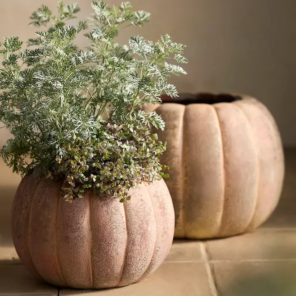 Canyon Orange Stoneware Pumpkin Planter product image from the verified GPgrows LTK collection