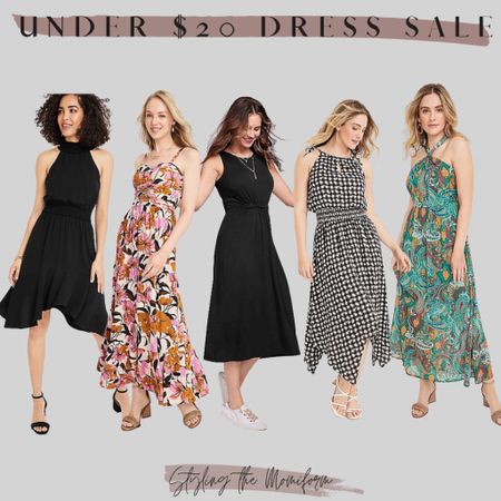 Under $20 dress sale!!!


#LTKsalealert #LTKworkwear #LTKBacktoSchool