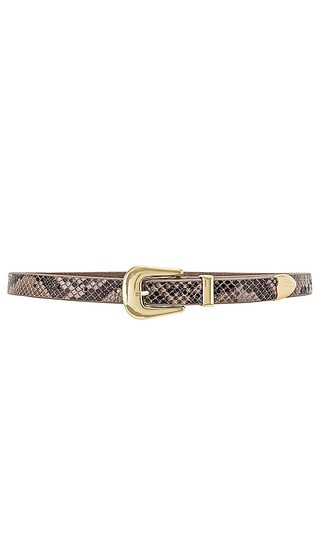 Eastwood Belt in Snake | Revolve Clothing (Global)