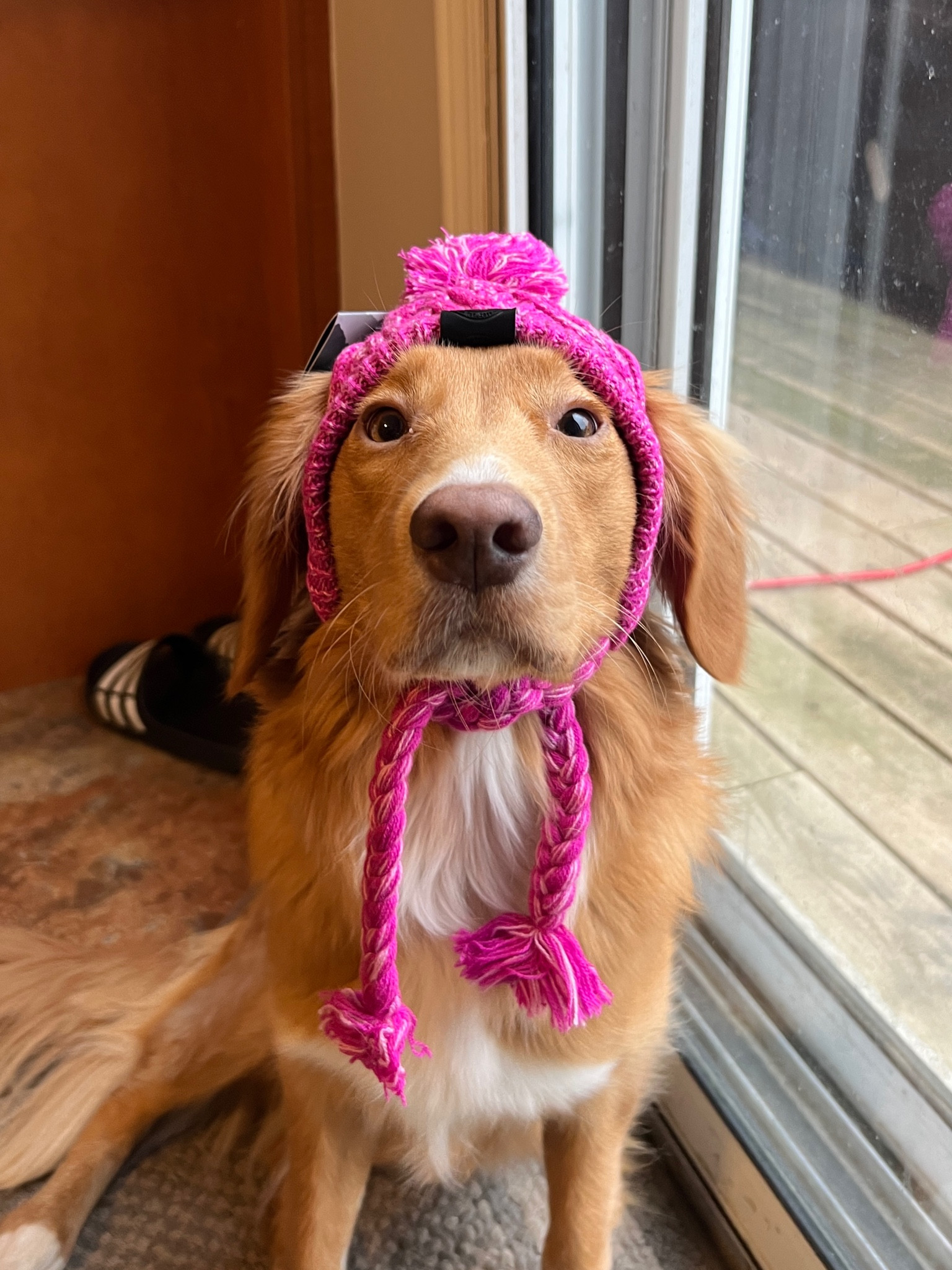 #LTKSeasonal #LTKunder50 #LTKHoliday