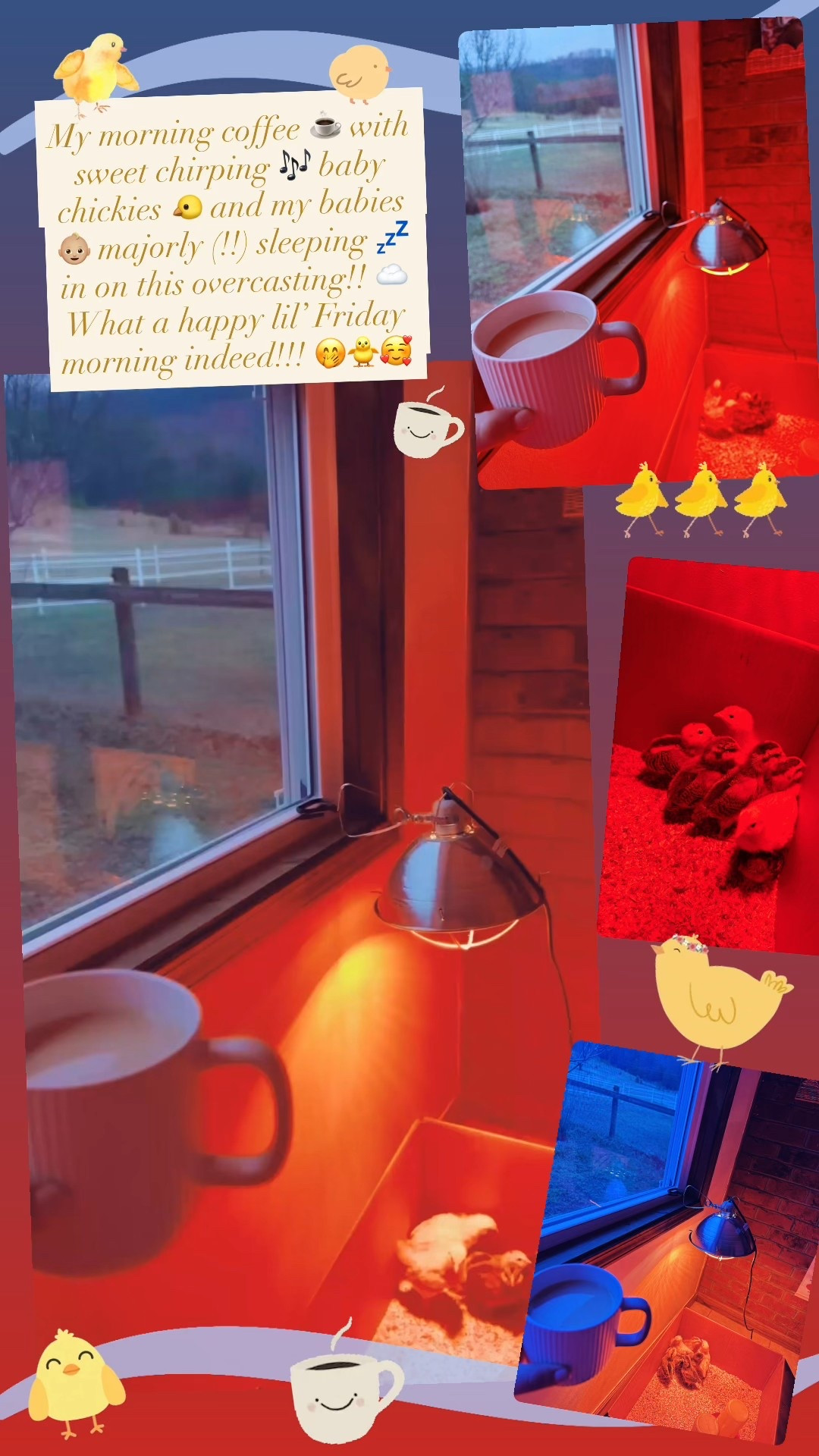 My morning coffee ☕️ with sweet chirping 🎶 baby chickies 🐤 and my babies 👶🏼 majorly (!!) sleeping 💤  in on this overcasting!! ☁️ What a happy lil’ Friday morning indeed!!! 🤭🐥🥰