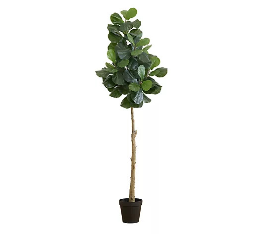 Nearly Natural 8-ft Artificial Fiddle Leaf FigTree - QVC.com | QVC