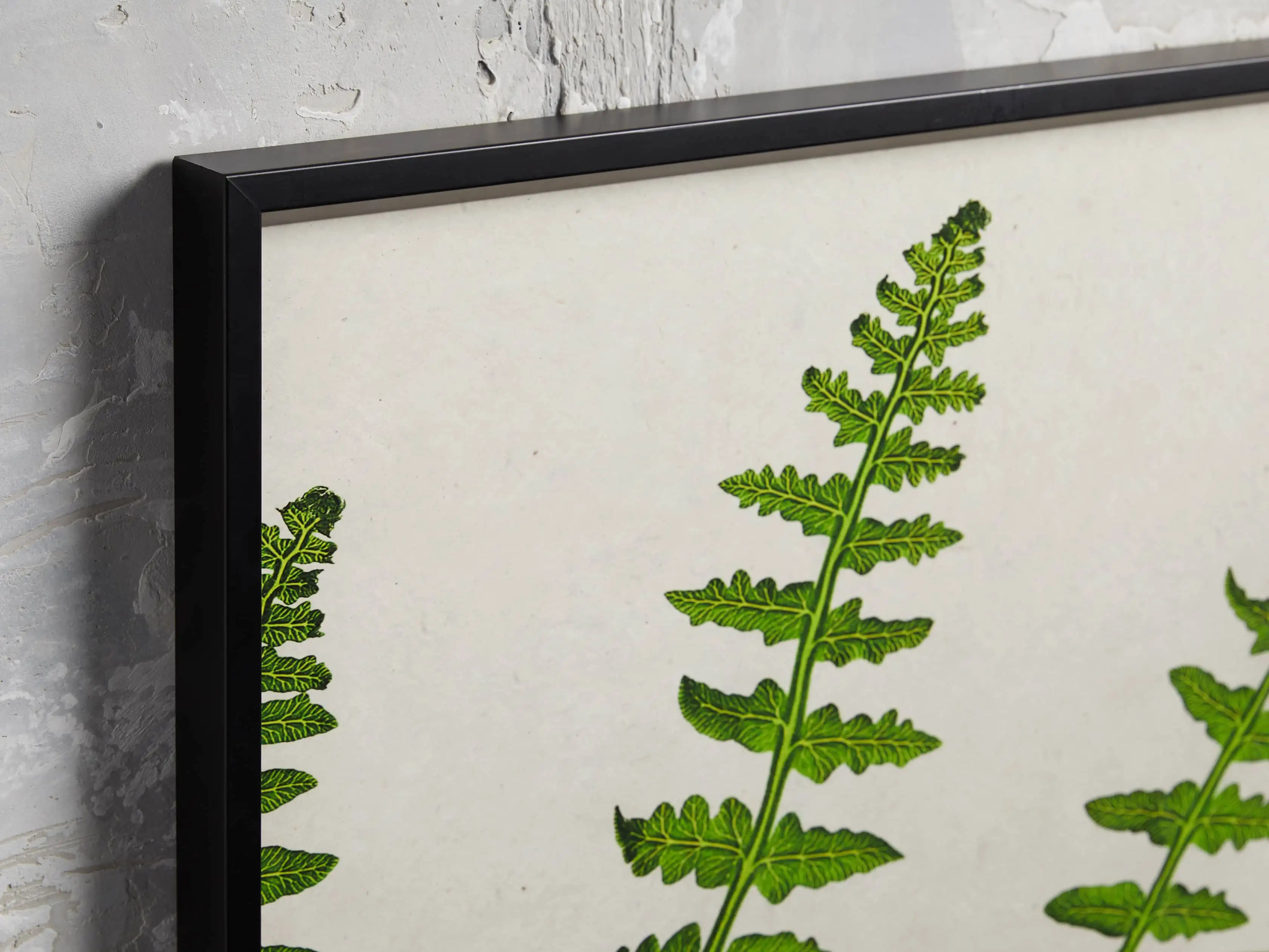 Fern Triptych | Arhaus