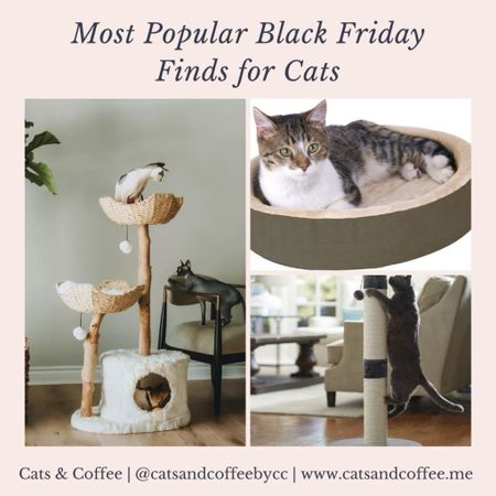 The most-shopped Black Friday finds for cats 🐱🐈🐈‍⬛😻🎁 cat supplies from Chewy, Amazon, Anthropologie, and more:

#LTKhome #LTKGiftGuide #LTKCyberWeek