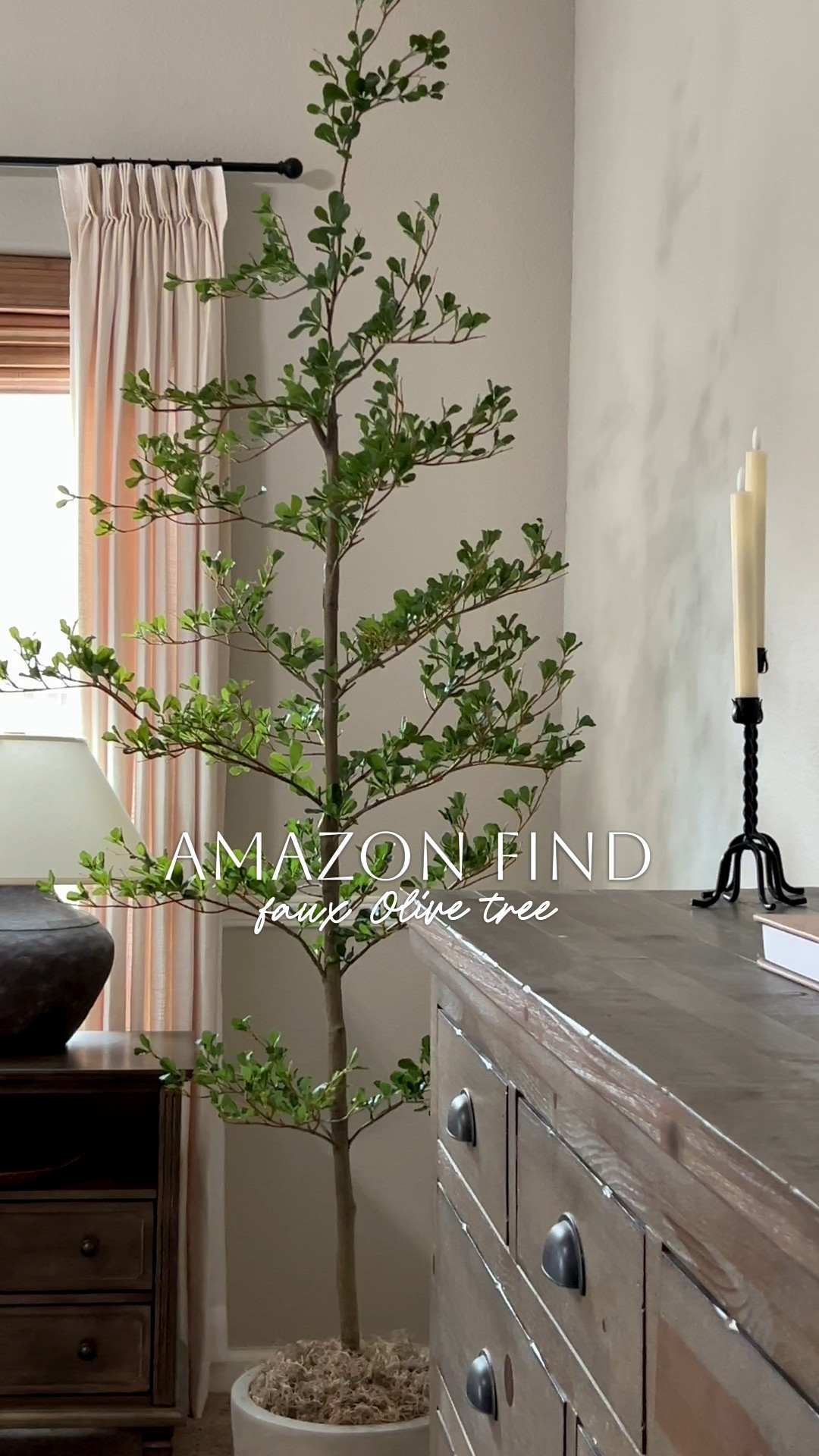 Amazon find!

Decided to swap out my old olive tree with this one 😍



#LTKHome