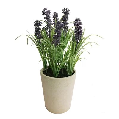 Faux Tabletop Lavender Floral Arrangement in Pot Ophelia & Co. | Wayfair North America