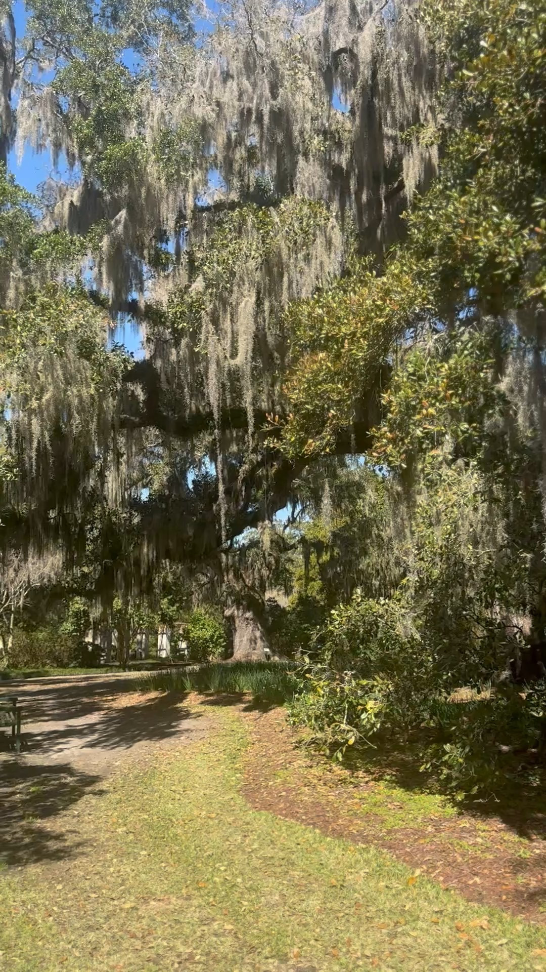 Views for days 

#LTKSeasonal