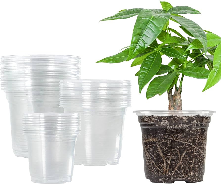 Bonviee 36 Packs 3.5/4/5 Inch Clear Nursery Pots, Transparent Plastic Planter with Drainage Holes... | Amazon (US)
