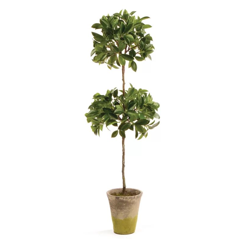 31'' Faux Ficus Topiary in Ceramic Pot | Wayfair North America