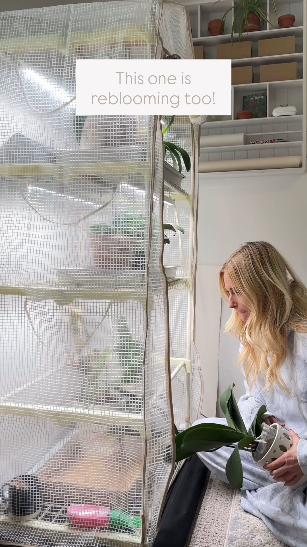 My favorite compact grow tent + greenhouse setup for keeping plants alive indoors during winter AND for starting seeds before last frost.
If you’re looking for an indoor gardening solution that works in a hallway, laundry room, small basement corner, or even a guest room without taking over your entire house, this is the combo I’ve used for years. It keeps humidity steady, gives consistent light levels during dark winter months, and protects plants from drafts.

I use this to overwinter houseplants, store tender plants I don’t want to lose, and start seeds early so I can transplant healthy seedlings outside as soon as spring weather allows.
The adjustable LED grow lights are bright enough for seedlings, herbs, and cut flowers, and the tent material keeps light contained so it doesn’t spill into the whole room. It also keeps heat and moisture stable, which helps prevent legginess when you’re seed starting indoors.

If you’ve had trouble keeping plants alive through winter or getting seeds to grow strong instead of floppy and weak, this setup fixes most of those issues by giving them controlled light, airflow, and temperature. The greenhouse structure is lightweight, zips fully closed, and fits standard grow shelves. The lights are full spectrum, linkable, and have timers so you can automate the whole process.

Perfect for:
indoor gardening
seed starting and seedling trays
winter plant storage
herbs and vegetables
cut flower seedlings