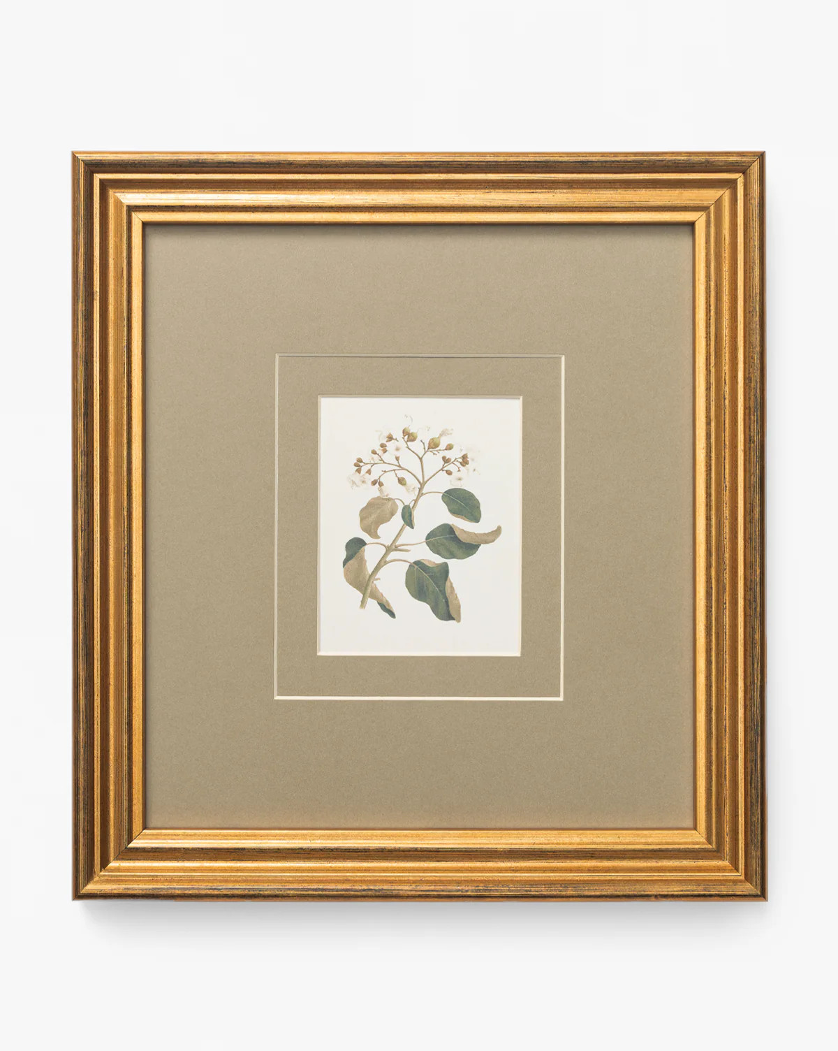 Blossoming Branch | McGee & Co. (US)