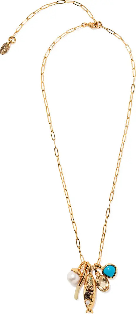 Lizzie Fortunato Sardina Charm Necklace | Nordstrom | Nordstrom