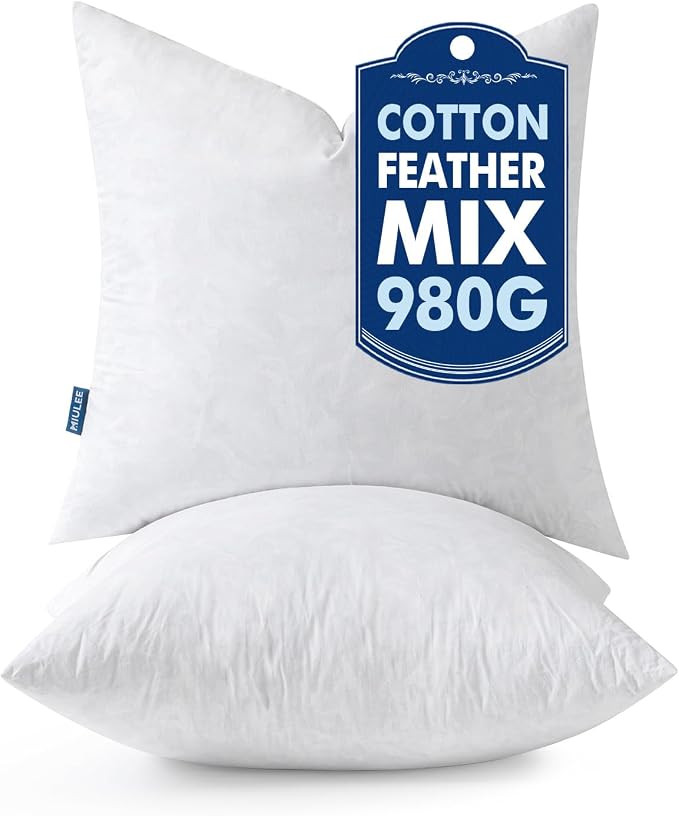 MIULEE Pillow Inserts 22x22 Inch Set of 2, Feather Mix Polycotton with Cotton Fabric Square Decor... | Amazon (US)