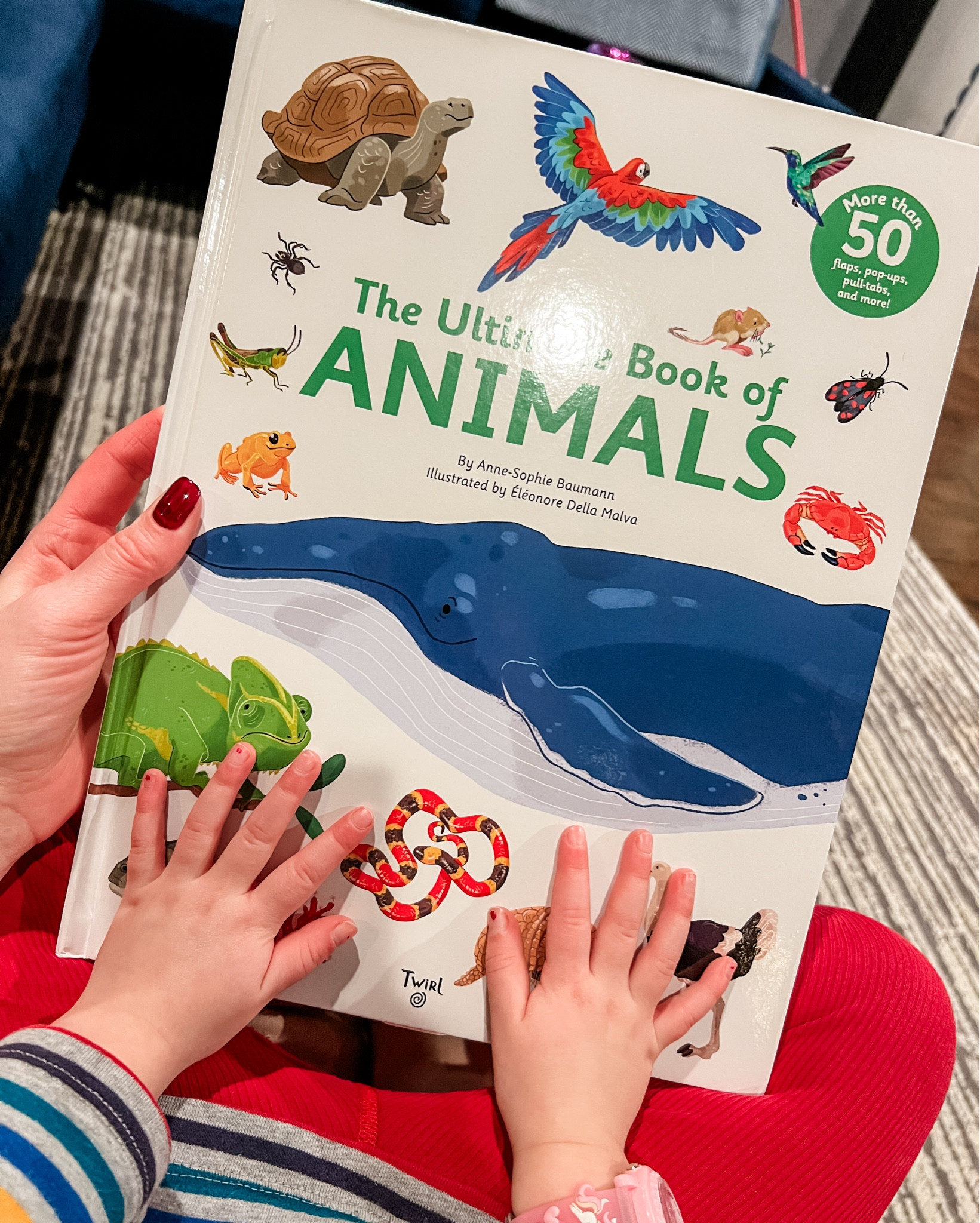 We have several of these ultimate books and they are very fun and interactive for our kids - flaps, pull tabs, and more. Sometimes we just lift and call out animals, other times we actually read. 

#LTKmomlife #LTKKids