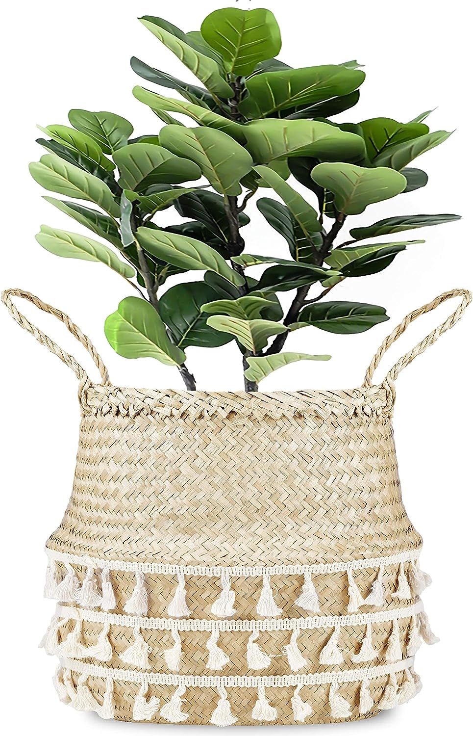 Small Net Woven Seagrass Belly Plant Basket with Handles by La Maia | Woven Planter Basket for St... | Amazon (US)
