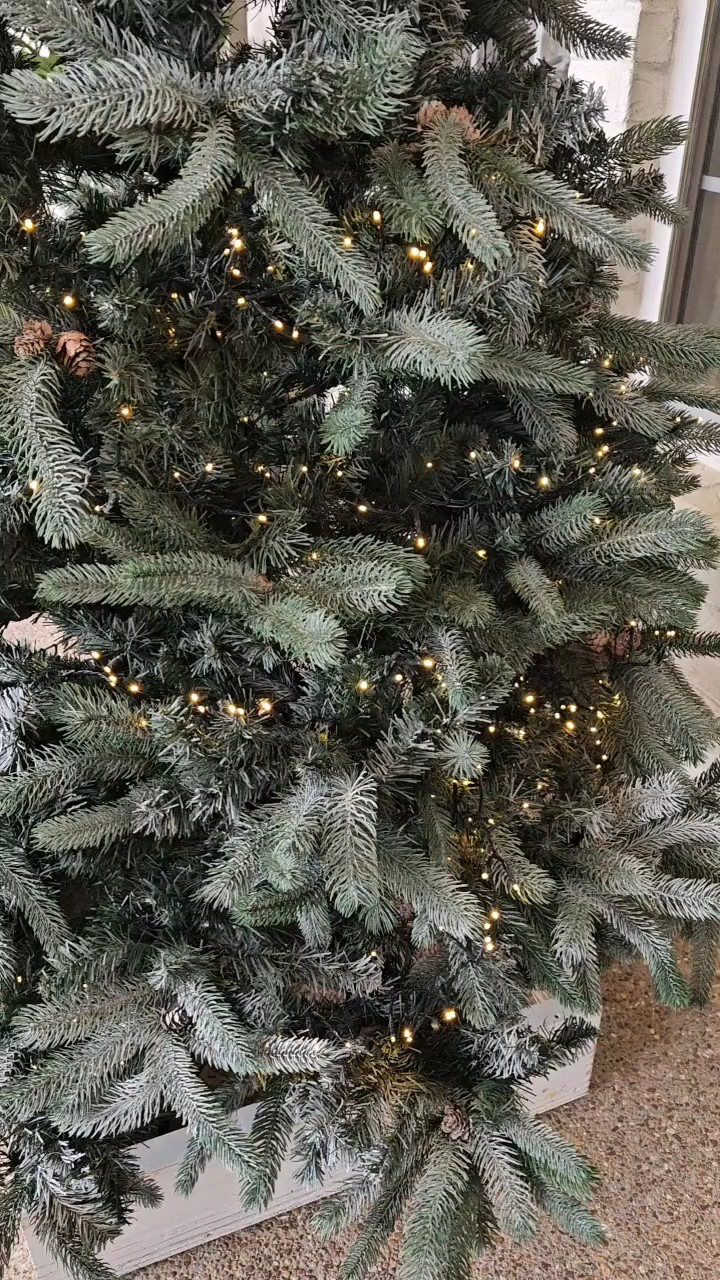 Twinkle cluster Christmas lights with 8 settings. The cluster design makes it so easy to string on your tree and have a full look #Christmas 

#LTKHome #LTKHoliday