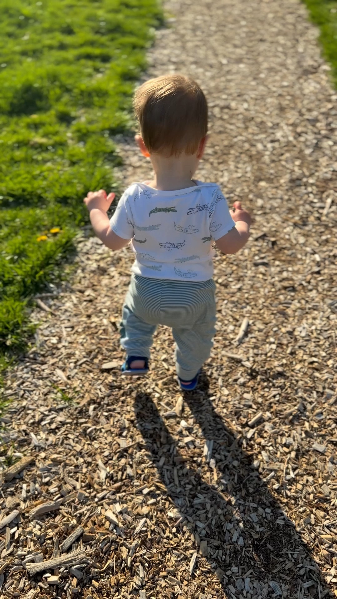  At 14 months, Alex is running and we needed shoes that could keep up with him, while supporting healthy foot growth and development. There are so many shoe options out there for toddlers, but they’re not all created equal. Here’s why @seekairun are the only shoes my son wears right now:
- they have flexible soles to support natural movement 
- wide toe boxes so his toes can grip and spread 
- a supportive heel 
- lightweight and breathable
@seekairun also makes adaptive shoes for those with orthotics. Every style is so cute, too! #seekairun #firstwalker #toddler #babymilestone first walker shoes, first shoes, baby milestones, baby, new parents, mom life 

#LTKKids #LTKmomlife #LTKBaby