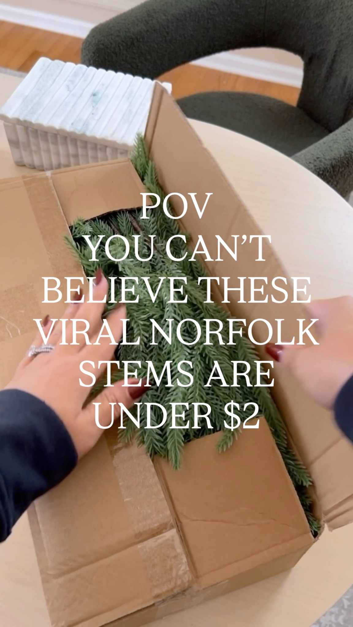 These Real Touch Norfolk pine stems are so good. A pack of 12 for under $2 a stem. Also available in 24 pk. Snag it before it goes up in price or out of stock. 
#founditonamazon #amazonfind #christmas2025 #norfolk #lookforless #afloral #christmasstems #greenery

#LTKFindsUnder50 #LTKHome #LTKSeasonal